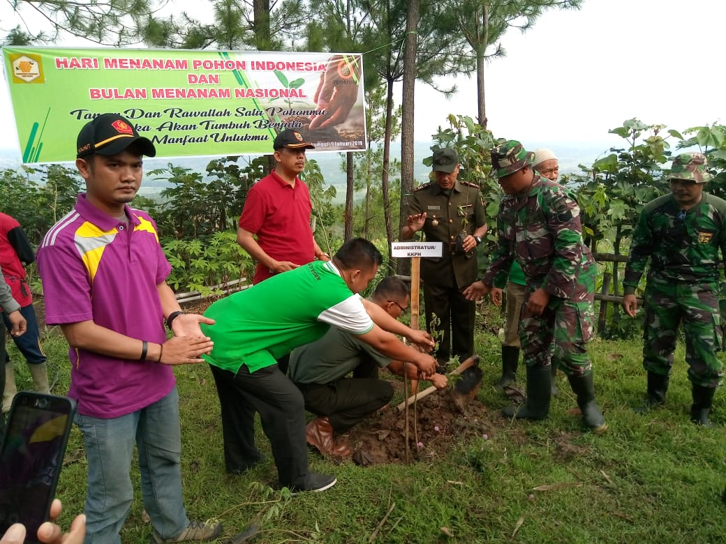 KORAMIL 12/WATUKUMPUL GELAR PENGHIJAUAN DENGAN MENANAM RIBUAN POHON RANDU