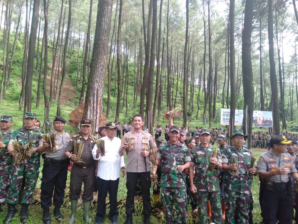 Siap Tanggap Bencana. Kodim 0711 Pemalang Menamam Rumput Vetiver