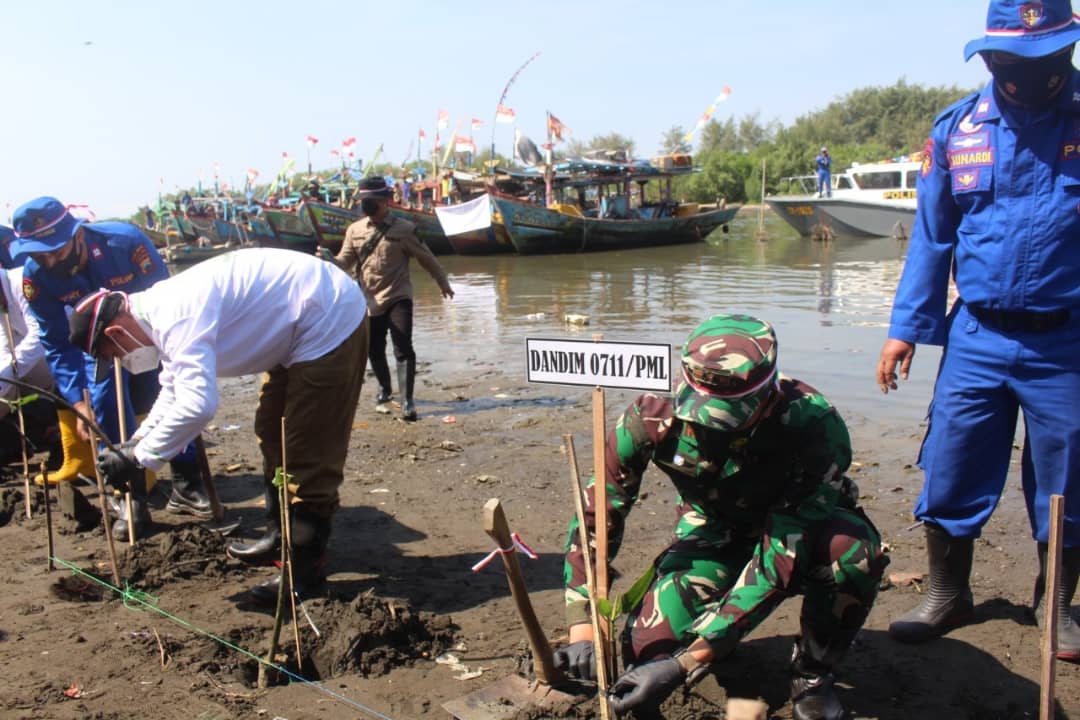 Dandim Pemalang Bersama Forkopimda Tanam Pohon Mangrove