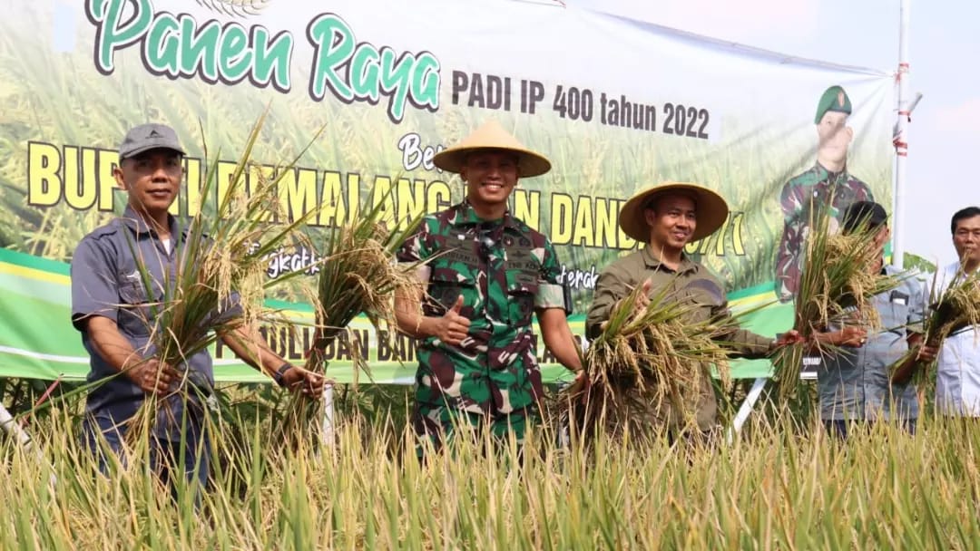 Dandim Bersama Bupati Pemalang Panen Raya Padi IP 400 di Areal Persawahan Desa Sirangkang