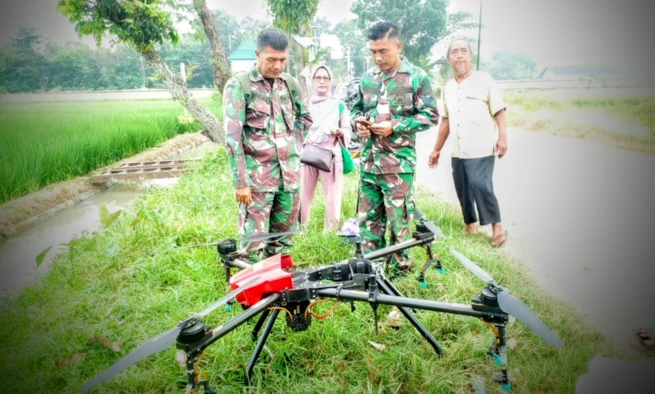 Basmi Hama Wereng di Lahan Demplot, Kodim Pemalang Terbangkan Drone