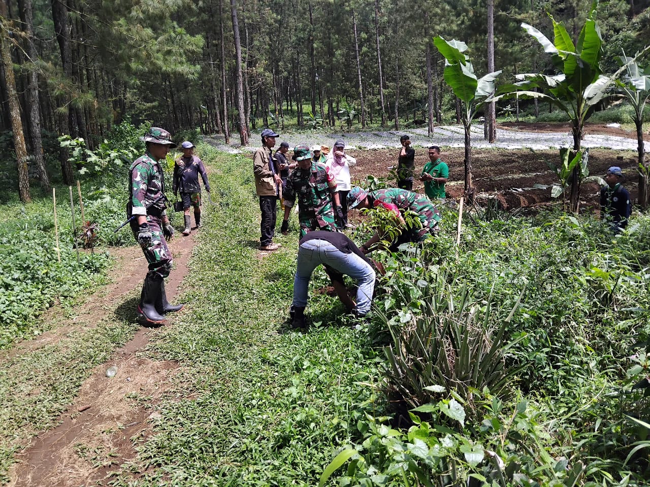 Koramil 10 /Moga Bersama Bupati Pemalang Melaksanakan Penanaman Pohon dan Rehabilitasi Mata Air di Desa Plakaran Kec. Moga