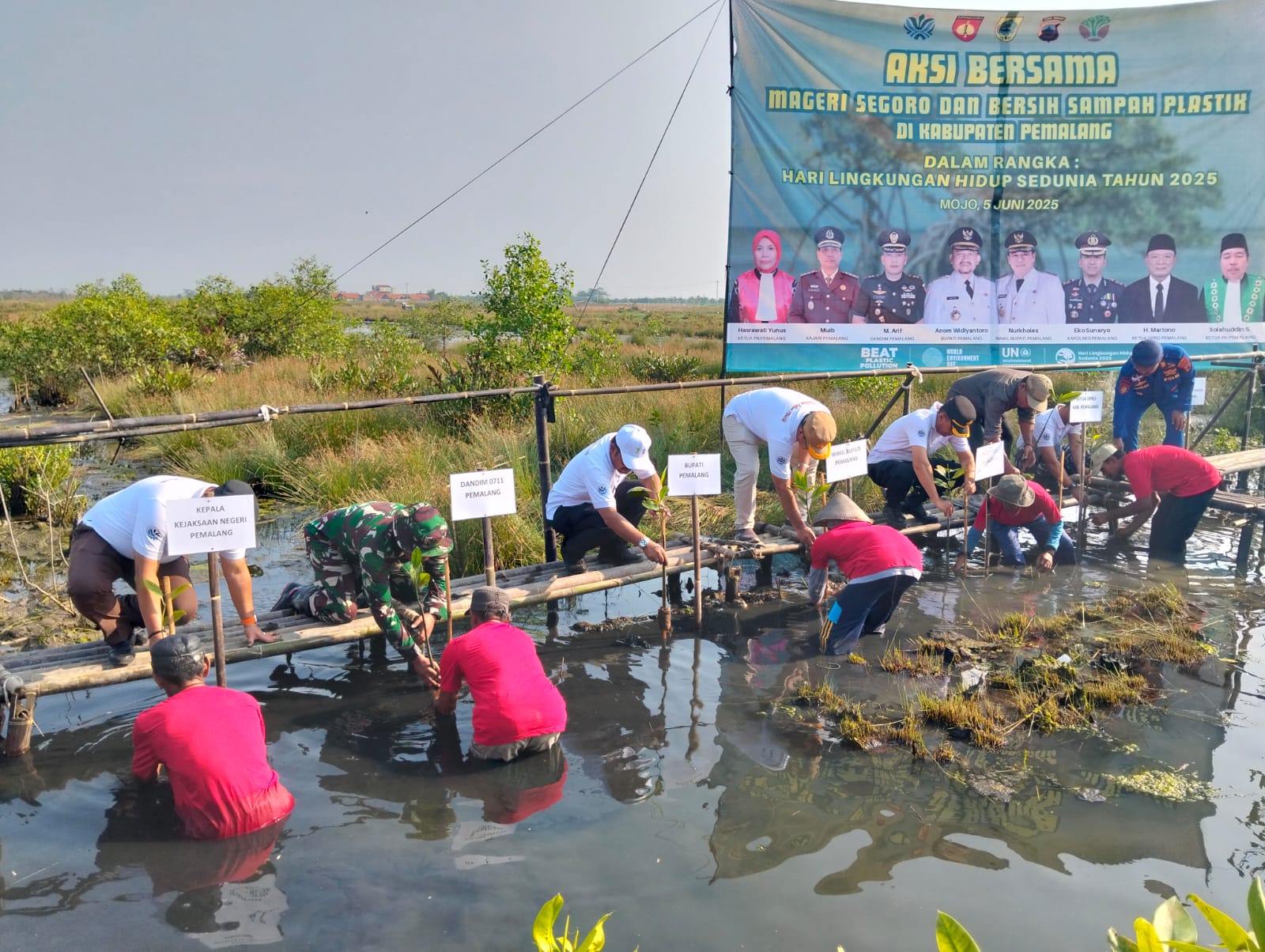 Peringati Hari Lingkungan Hidup Sedunia Dandim Pemalang Bersama Forkopimda dan Masyarakat Tanam Mangrove dan Bersihkan Sampah